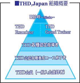 THD,JAPANgDTv